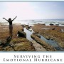 Divorce:  Surviving the Emotional Hurricane
