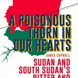 A Poisonous Thorn in Our Hearts: Sudan and South Sudan's Bitter and Incomplete Divorce